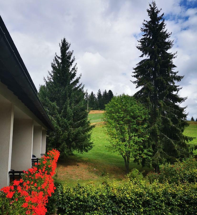 Schwarzwaldgasthof Hotel Hirschen Ibach Buitenkant foto
